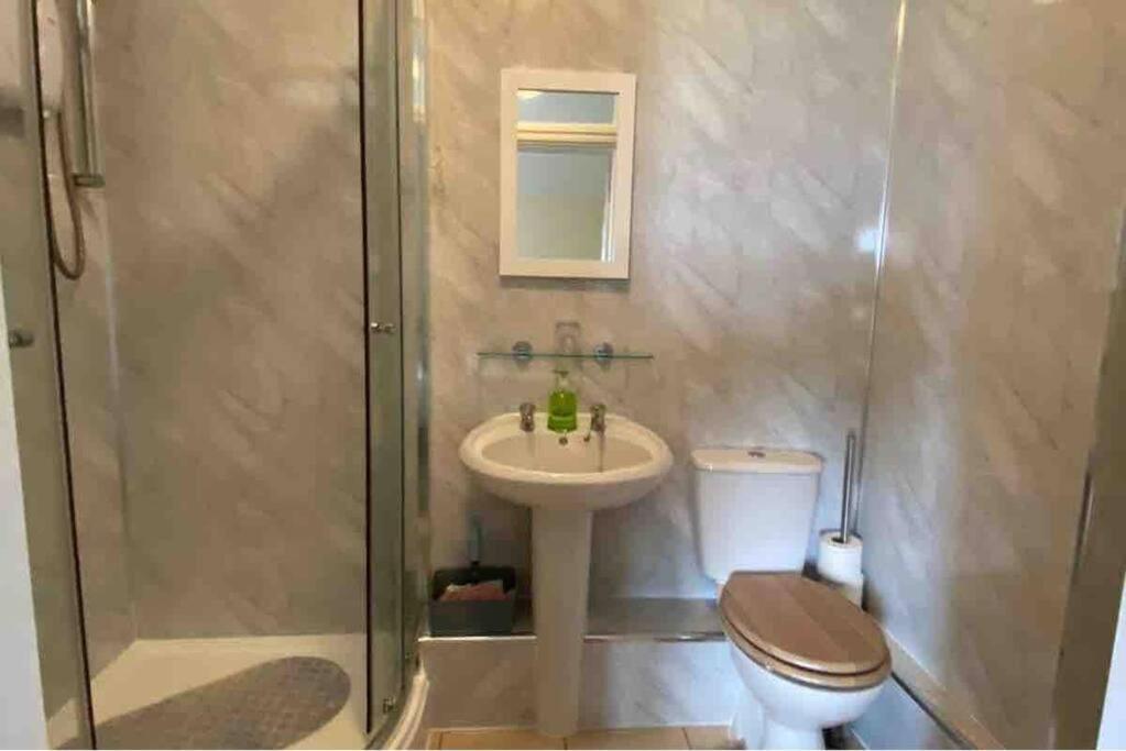 Camellia Loft Lägenhet Penzance Exteriör bild