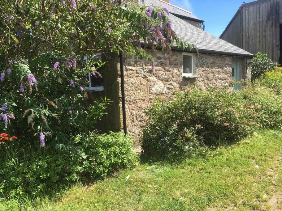 Camellia Loft Lägenhet Penzance Exteriör bild